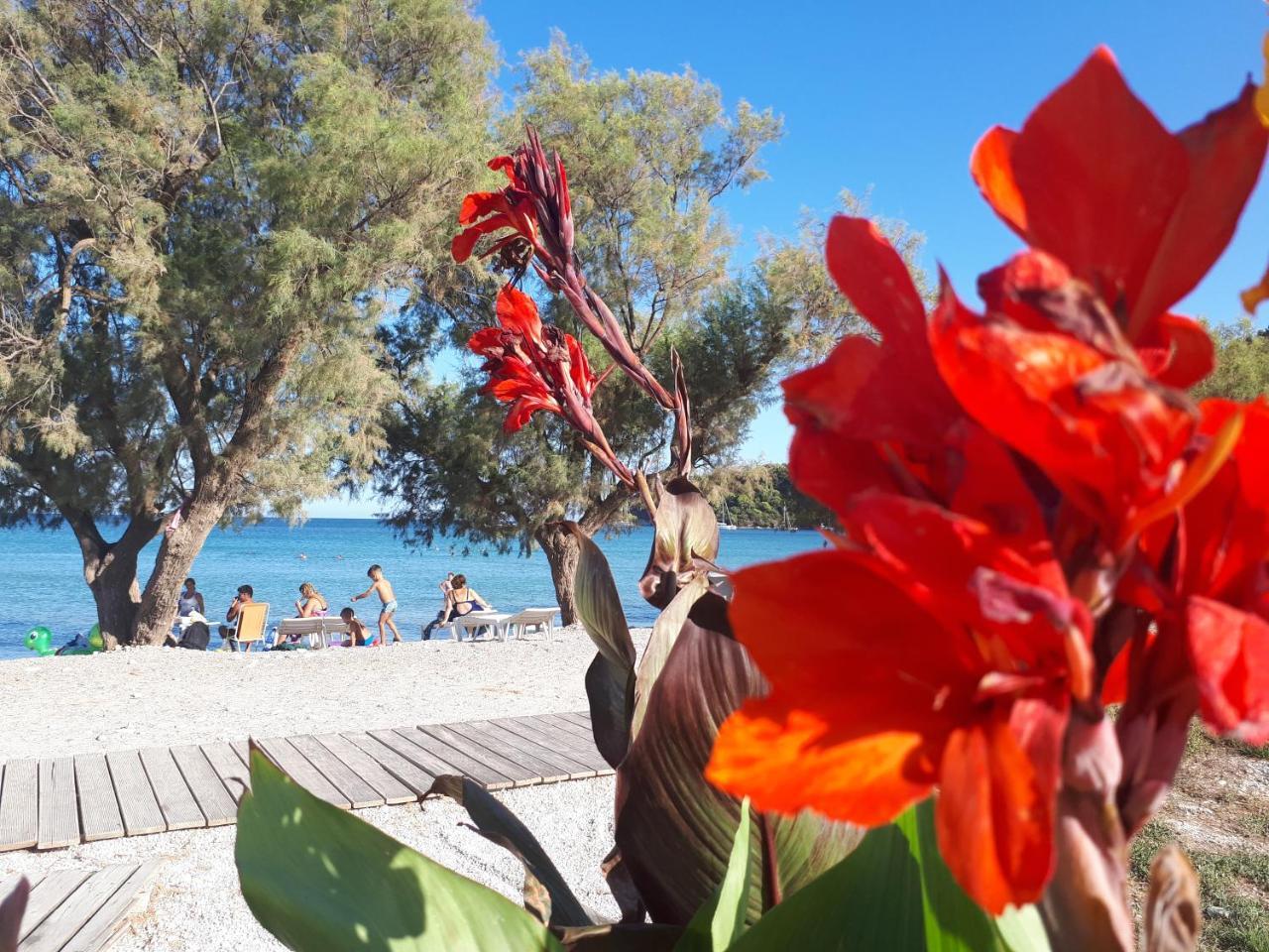 מלון לגאנאס Zante Dahlia מראה חיצוני תמונה